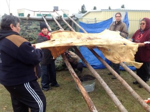 stretching the hide resized